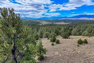 344 Matterhorn Circle, Westcliffe, CO 81252 - Photo 1