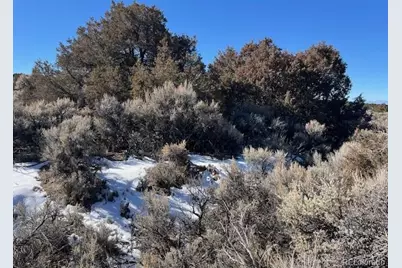 Lot 1784 Bateman Road, Fort Garland, CO 81133 - Photo 11