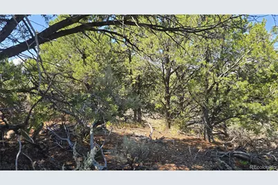 Lot 1615 Dunn Road, San Luis, CO 81152 - Photo 7