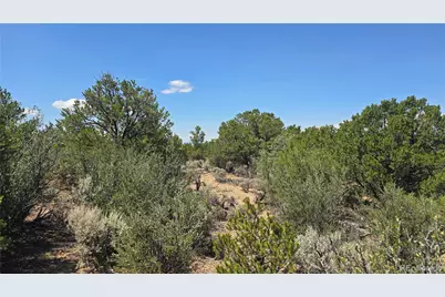 Lot 1615 Dunn Road, San Luis, CO 81152 - Photo 9