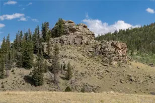 63 Welsh Cob Ln, Jefferson, CO 80456 - Photo 5