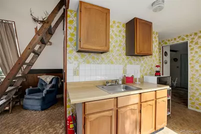 63 Welsh Cob Lane, Jefferson, CO 80456 - Photo 29