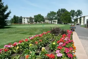 795 S Alton Way, Denver, CO 80247 - Photo 41