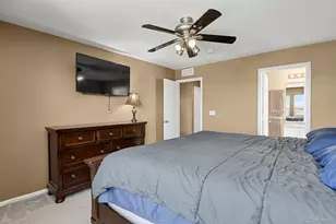 3742 Dinosaur St, Castle Rock, CO 80109 - Photo 19