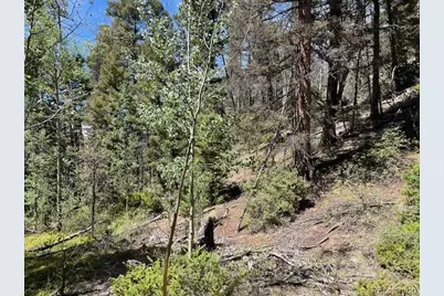 Lot 5655 Highlander Road, Fort Garland, CO 81133 - Photo 17