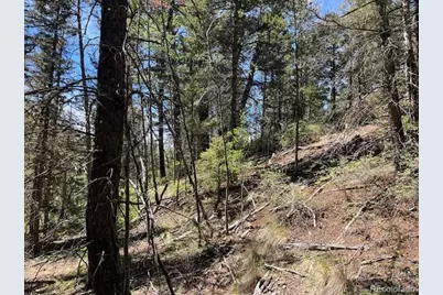 Lot 5655 Highlander Road, Fort Garland, CO 81133 - Photo 15