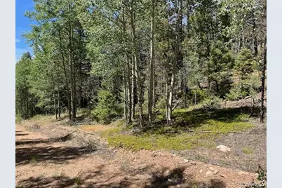 Lot 5655 Highlander Road, Fort Garland, CO 81133 - Photo 19