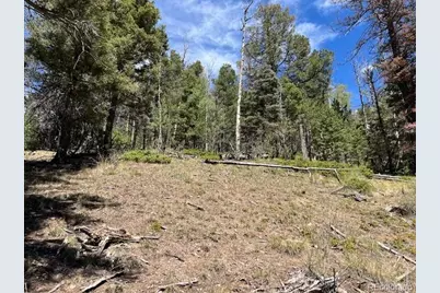 Lot 5655 Highlander Road, Fort Garland, CO 81133 - Photo 21