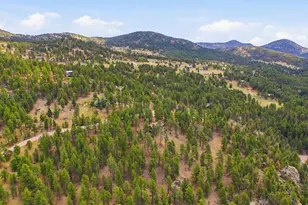 7062 Peaceful Hills Rd, Morrison, CO 80465 - Photo 39