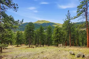 7062 Peaceful Hills Rd, Morrison, CO 80465 - Photo 23