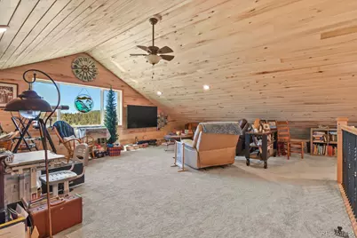 150 Julia Road, Guffey, CO 80820 - Photo 31