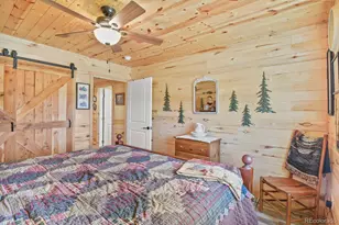150 Julia Rd, Guffey, CO 80820 - Photo 27