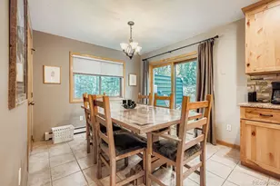 323 Twenty Grand Dr, Silverthorne, CO 80498 - Photo 9