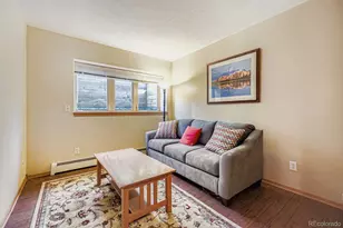 323 Twenty Grand Dr, Silverthorne, CO 80498 - Photo 19
