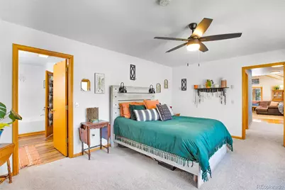 757 Thompson Park Road, Fairplay, CO 80440 - Photo 9