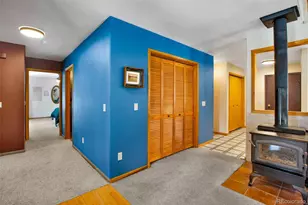 757 Thompson Park Rd, Fairplay, CO 80440 - Photo 17