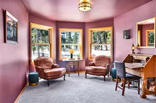 757 Thompson Park Rd, Fairplay, CO 80440 - Photo 19