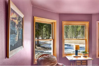 757 Thompson Park Road, Fairplay, CO 80440 - Photo 33