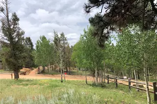 169 Daisy St, Woodland Park, CO 80863 - Photo 5