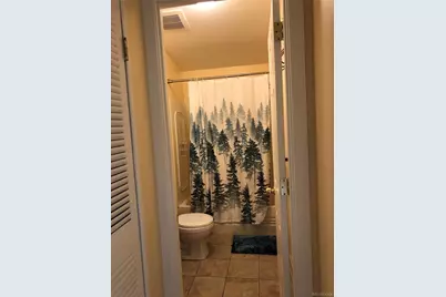 169 Daisy Street, Woodland Park, CO 80863 - Photo 23