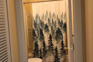 169 Daisy St, Woodland Park, CO 80863 - Photo 23