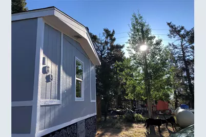169 Daisy Street, Woodland Park, CO 80863 - Photo 9