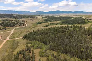 1245 Winchester Dr, Como, CO 80432 - Photo 13