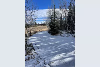 1245 Winchester Drive, Como, CO 80432 - Photo 9