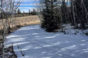 1245 Winchester Dr, Como, CO 80432 - Photo 9