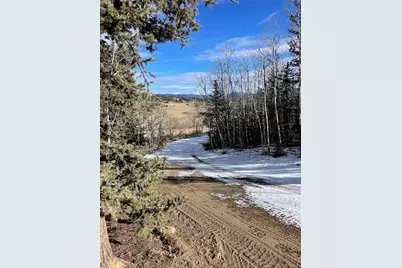 1245 Winchester Drive, Como, CO 80432 - Photo 9