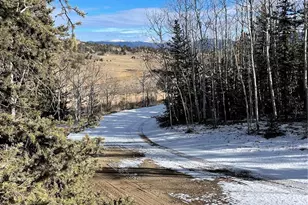 1245 Winchester Dr, Como, CO 80432 - Photo 9