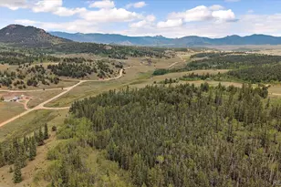 1245 Winchester Dr, Como, CO 80432 - Photo 29
