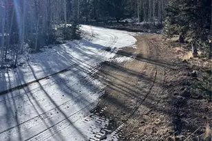 1245 Winchester Dr, Como, CO 80432 - Photo 7