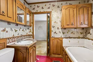 3828 Wyandot St, Denver, CO 80211 - Photo 11