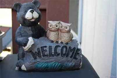 5064 County Road 64 #1, Bailey, CO 80421 - Photo 3