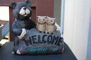 5064 Co Rd 64, Bailey, CO 80421 - Photo 3