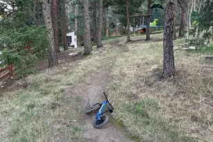 974 Wagon Trail Rd, Evergreen, CO 80439 - Photo 41