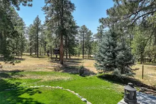 35553 Cloud Dance Ct, Elizabeth, CO 80107 - Photo 43
