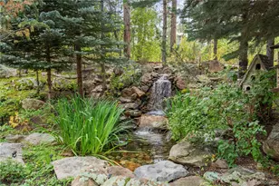 331 Paragon Way, Castle Rock, CO 80108 - Photo 41