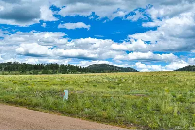 4782 County Road 71, Guffey, CO 80820 - Photo 17