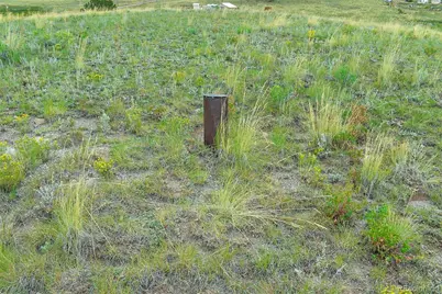 4782 County Road 71, Guffey, CO 80820 - Photo 5