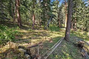 6411 S Summer Rd, Morrison, CO 80465 - Photo 25