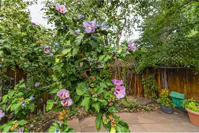 1120 Poplar Avenue, Boulder, CO 80304 - Photo 33