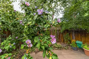 1120 Poplar Ave, Boulder, CO 80304 - Photo 33