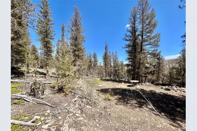 2834 Middle Fork Vista, Fairplay, CO 80440 - Photo 9