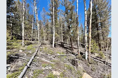 2834 Middle Fork Vista, Fairplay, CO 80440 - Photo 7