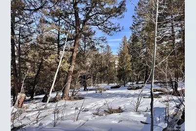 2834 Middle Fork Vista, Fairplay, CO 80440 - Photo 23