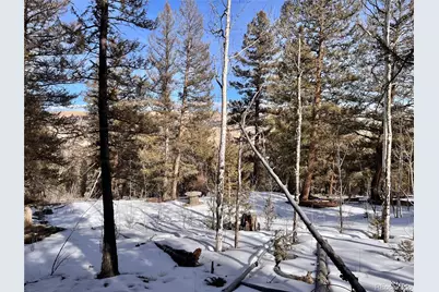 2834 Middle Fork Vista, Fairplay, CO 80440 - Photo 19
