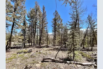 2834 Middle Fork Vista, Fairplay, CO 80440 - Photo 3