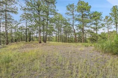 2317 Wieler Road, Evergreen, CO 80439 - Photo 9